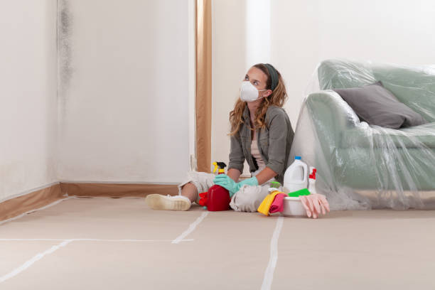 Reliable Mold Remediation contractor in Halifax, NC by WQB Mold Removal